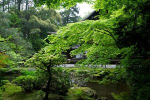 The Art of Zen Music Playing
