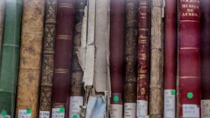 Spines of historical musicology books at the UBC School of Music